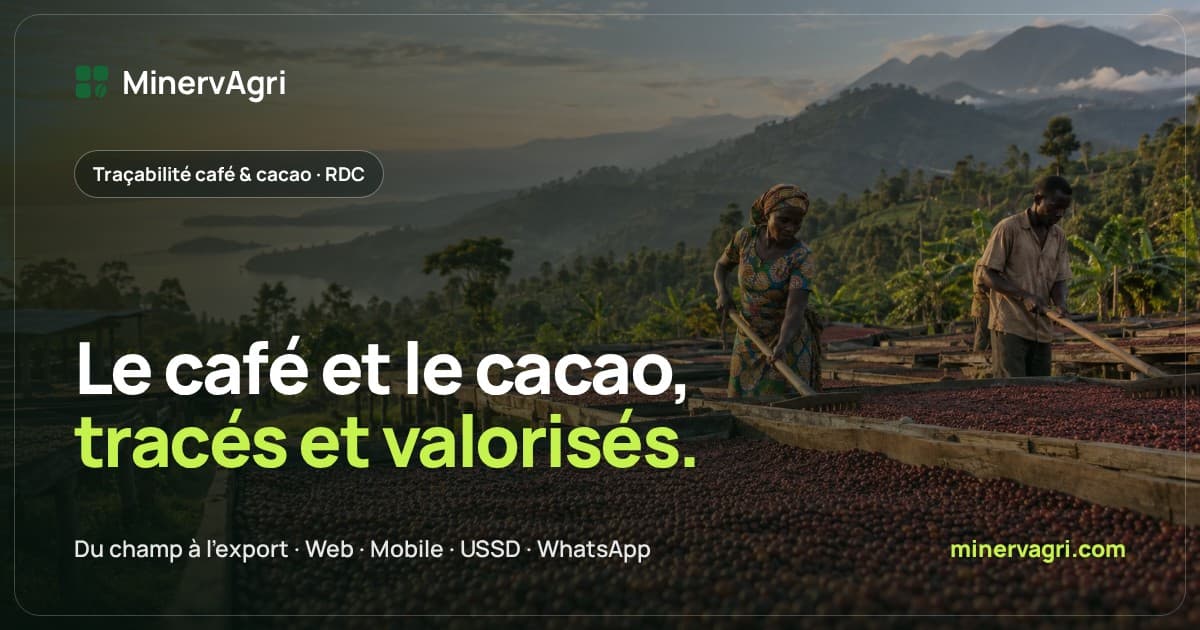 MinervAgri, the traceability platform for coffee and cocoa in the Democratic Republic of Congo